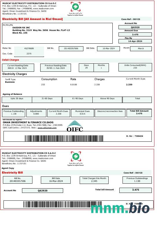 OMAN MUSCAT ELECTRICITY rachunek za usługi komunalne Word and PDF template